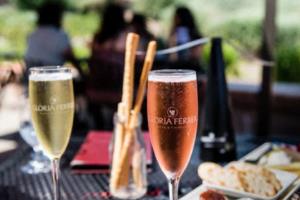 2026年世界杯，全球球迷的期待与期待2026世界杯在哪个国家