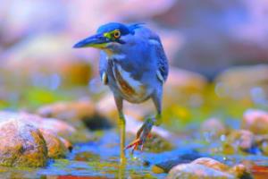 世界杯主题曲go go go,一段跨越时空的体育精神之旅世界杯主题曲go go go