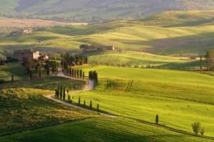 2022年卡塔尔世界杯亚洲区预选赛国足赛程安排及分析世界杯亚洲区预选赛国足最新赛程